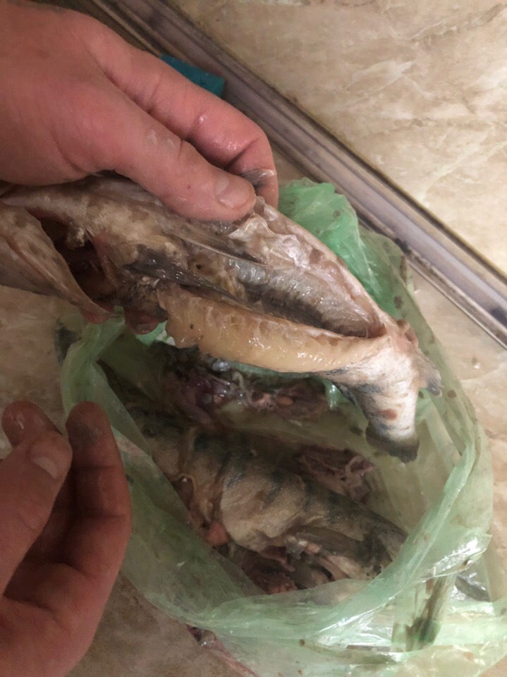 Сегодня купили самую «свежую»рыбку-судачка????в супер новом Пер