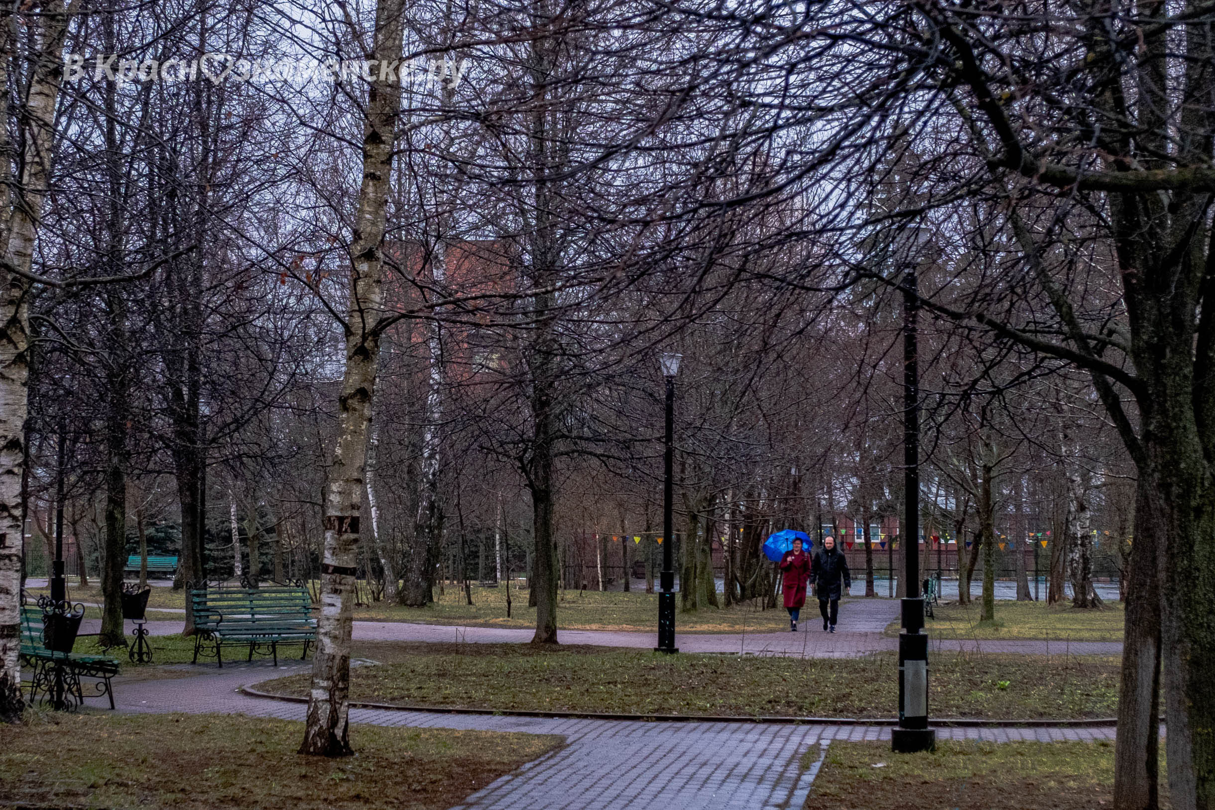 Фото 24961 — Краснознаменск