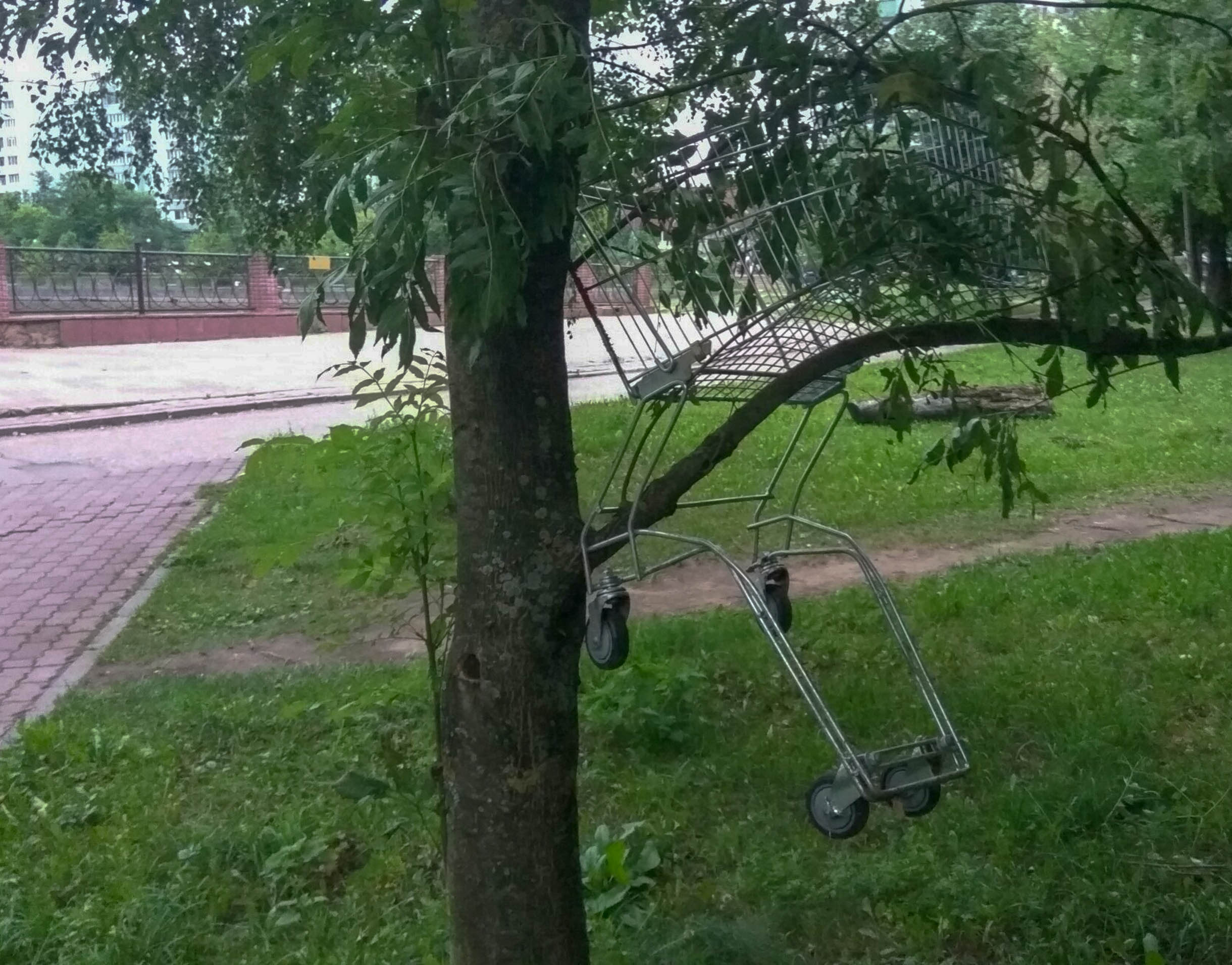 Что в городе происходит вообще?! Что с этими людьми не так?