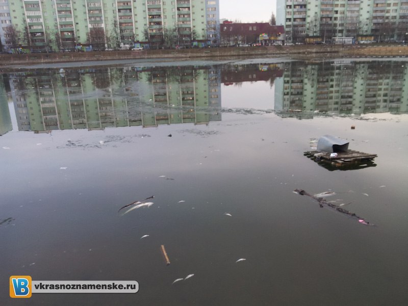 Быстрое меню — Краснознаменск