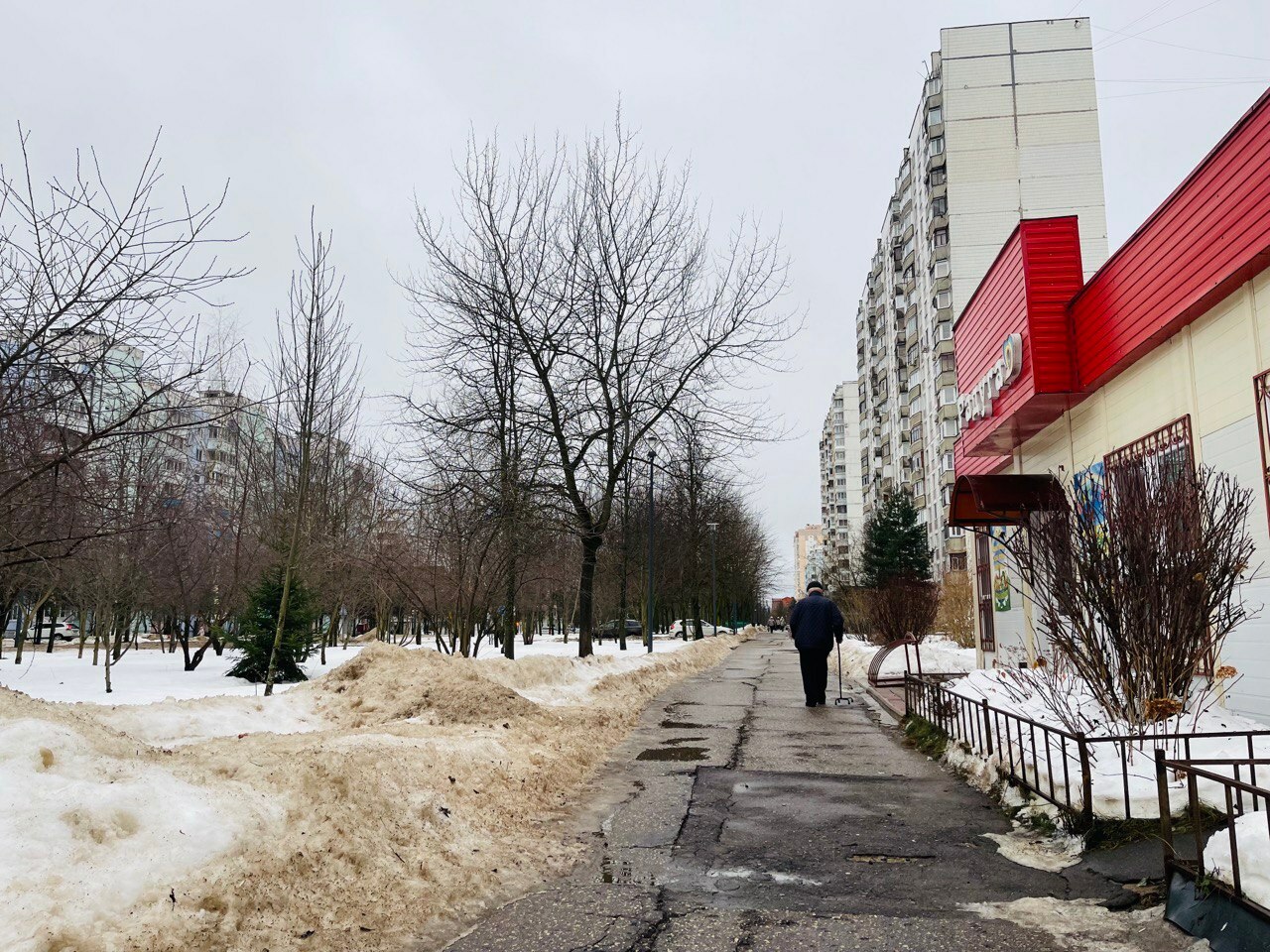 Прогулка по городу) — Краснознаменск
