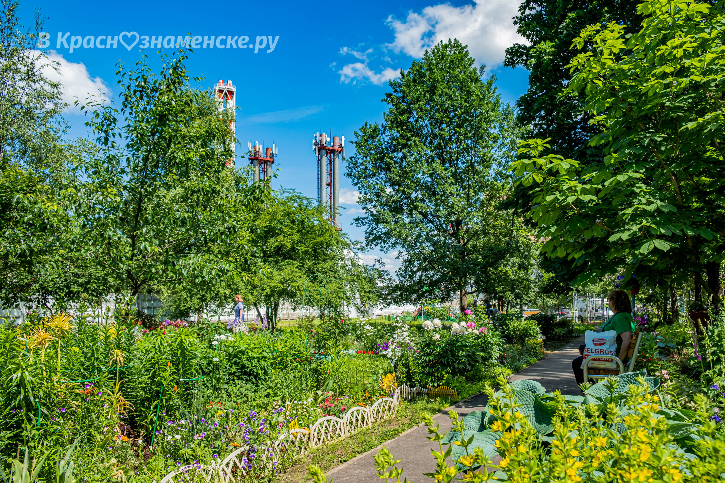 Прогулка по городу — Краснознаменск