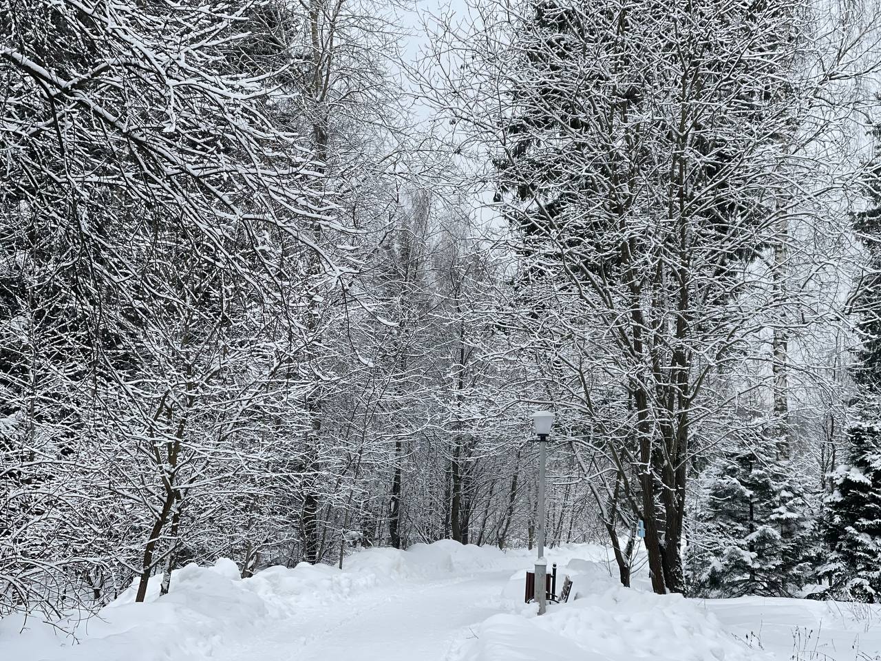 Прогулка по городскому парку — Краснознаменск