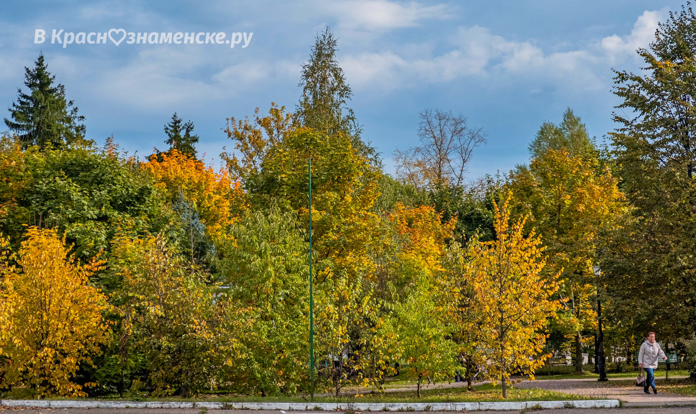 Фото 35438 — Краснознаменск