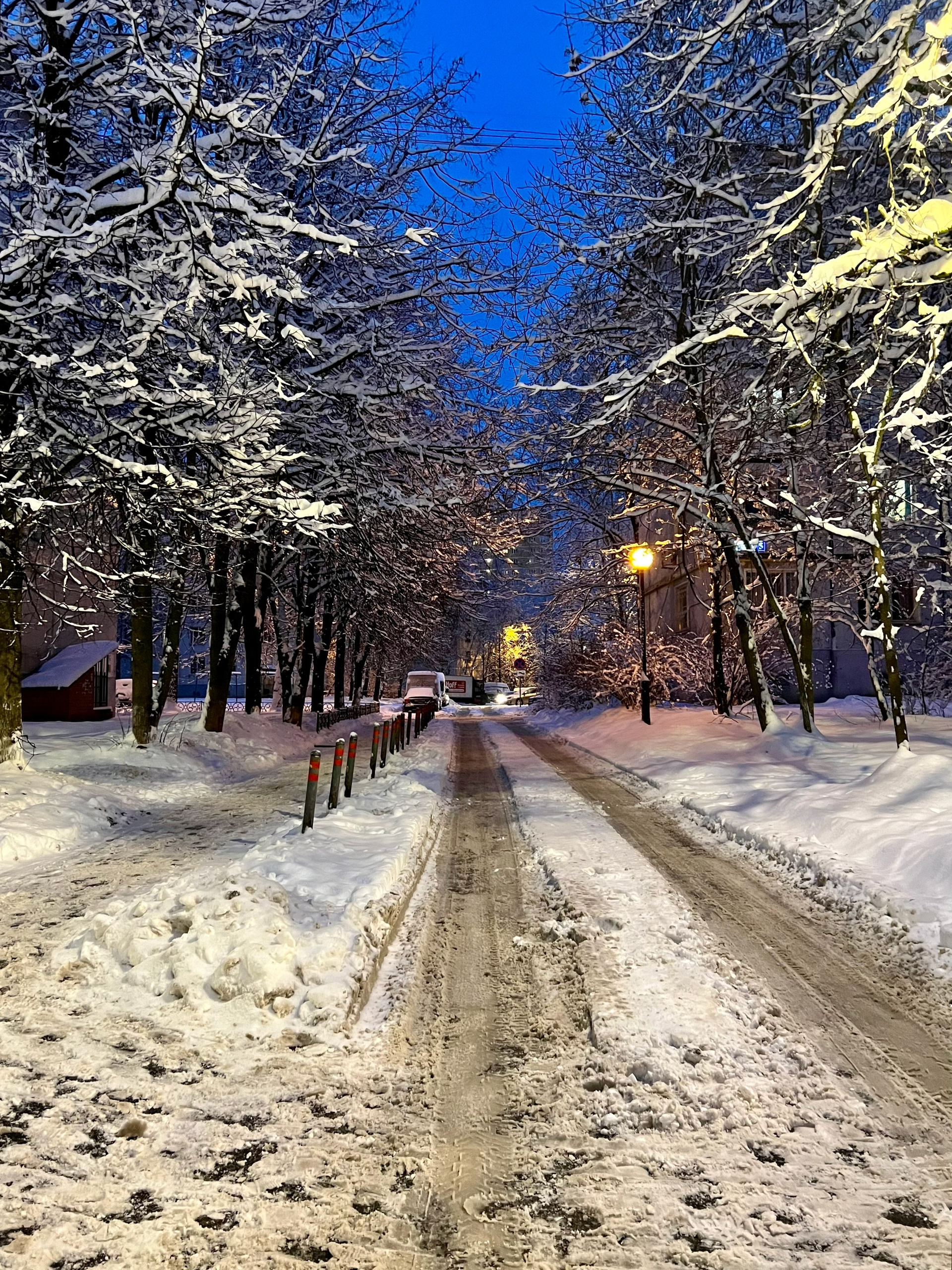 ???? Лиса Лихачева — Краснознаменск