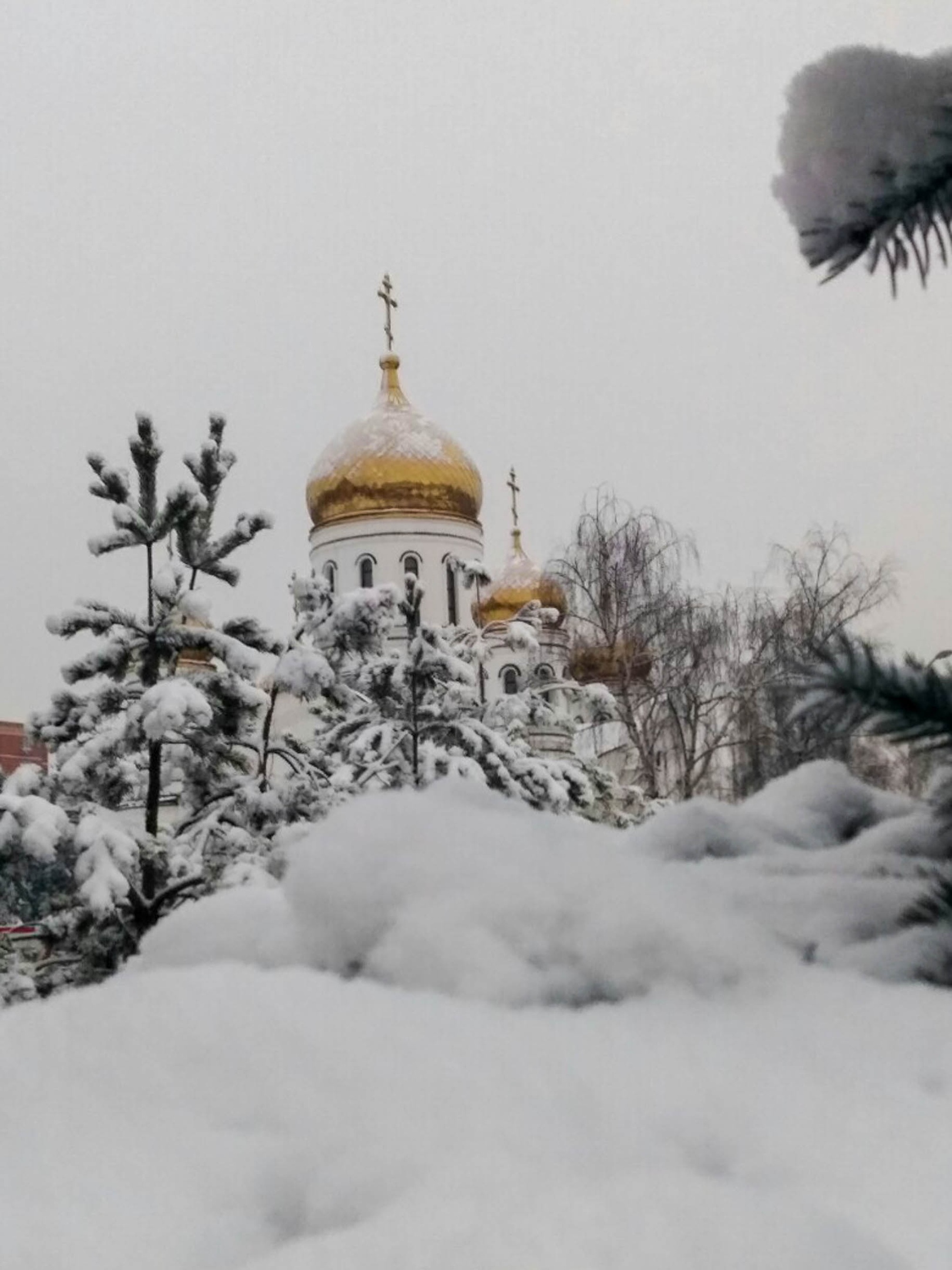 ???? Юлия Пахомова