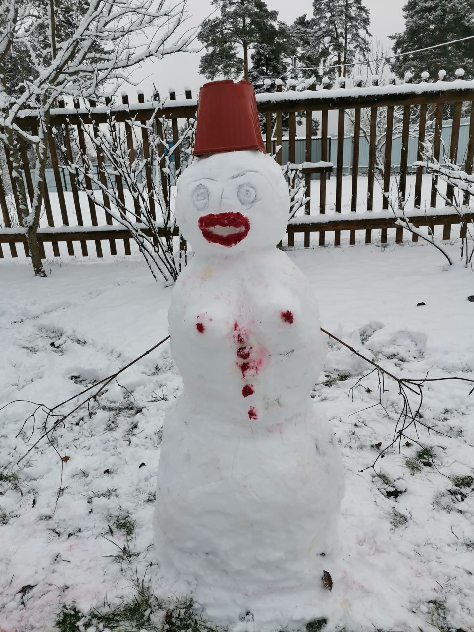 Подборка снеговичков после первого снегопада⛄❄ — Краснознаменск