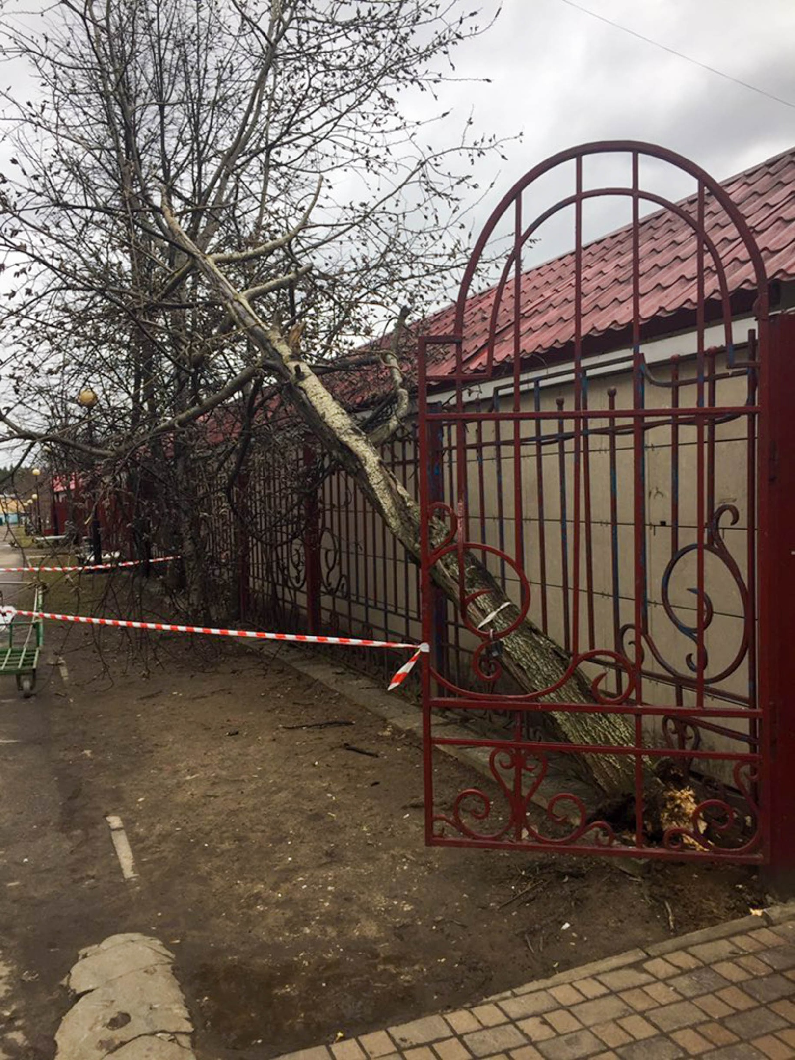 Последствия ветродуя