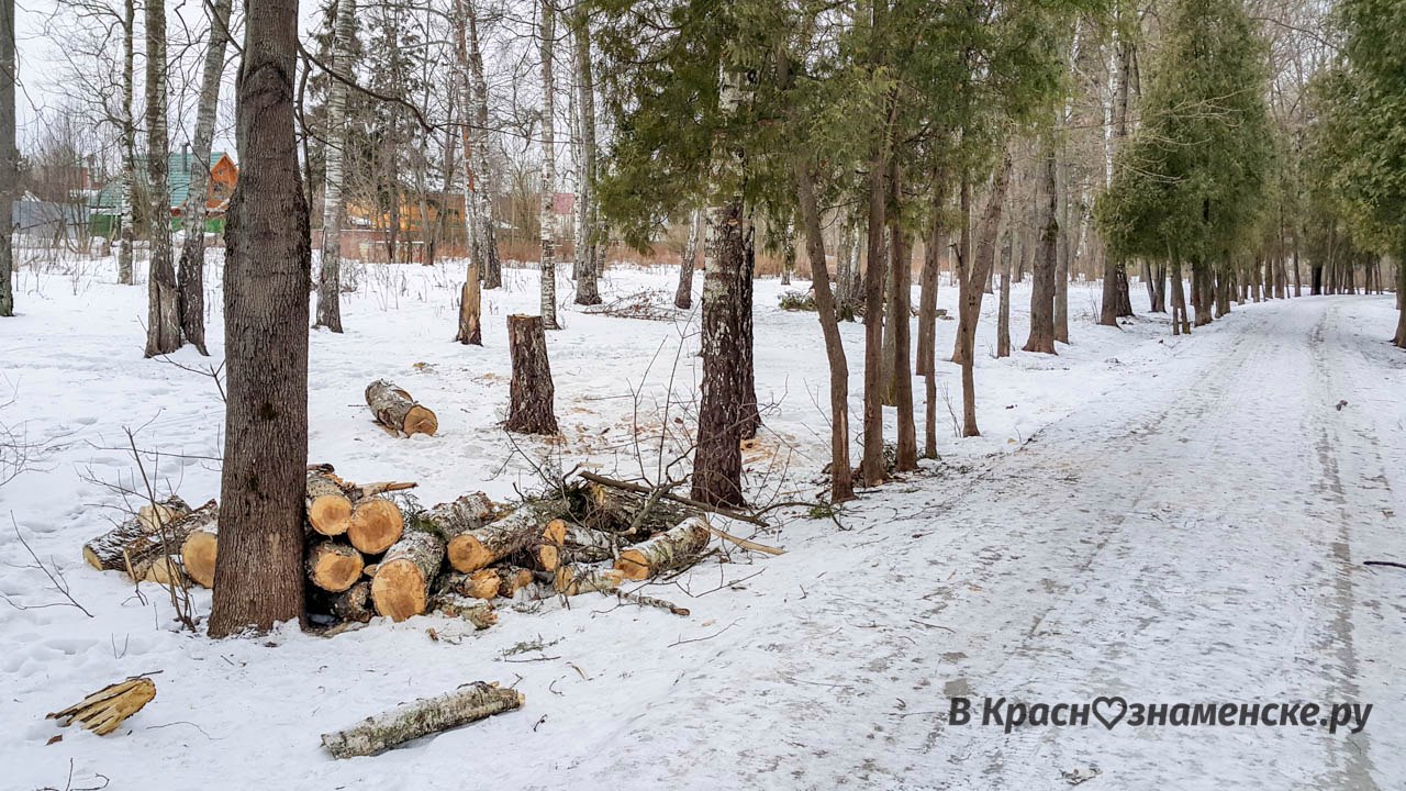 [club27992616|Коротко об экологии]: — Краснознаменск