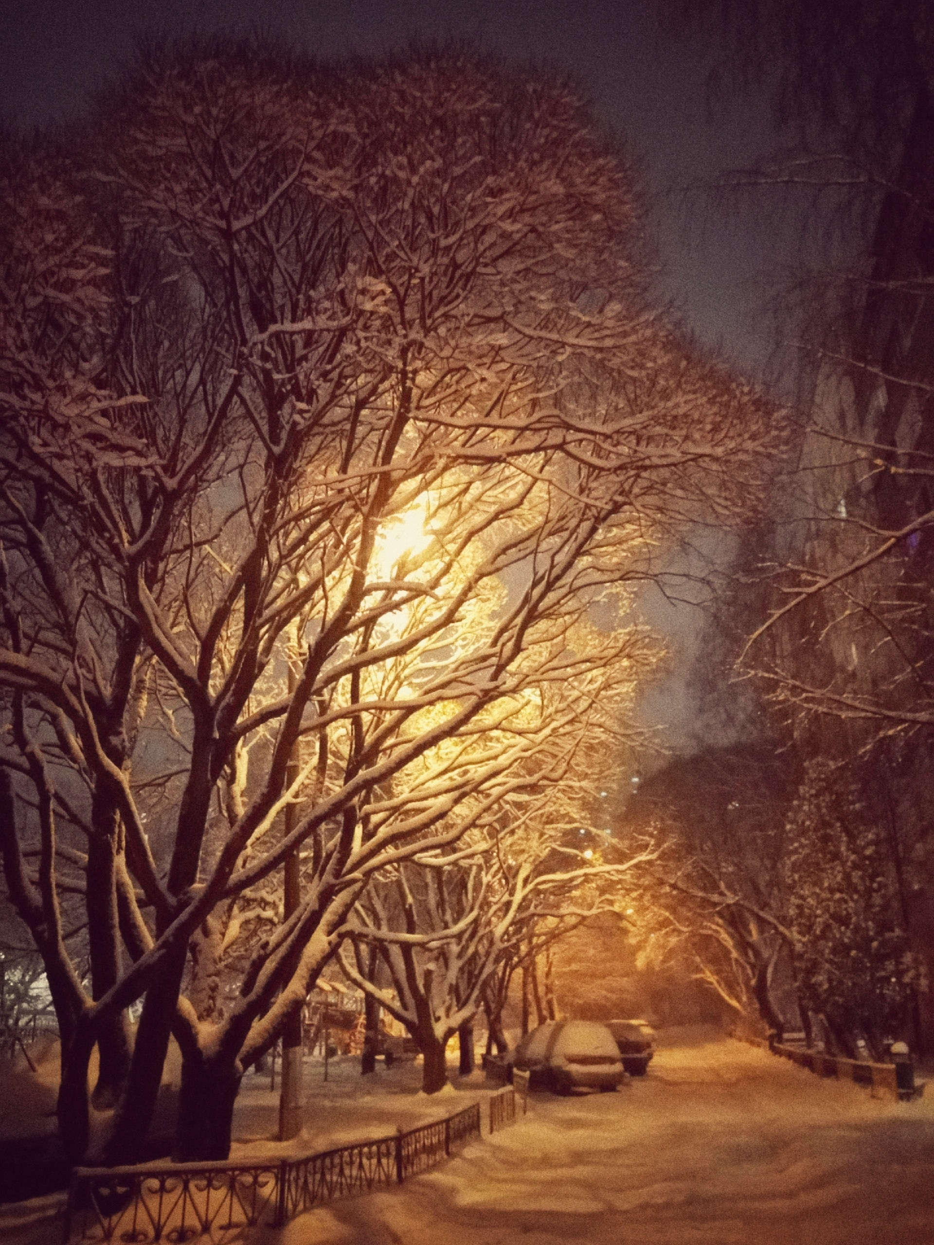 Вечереет.