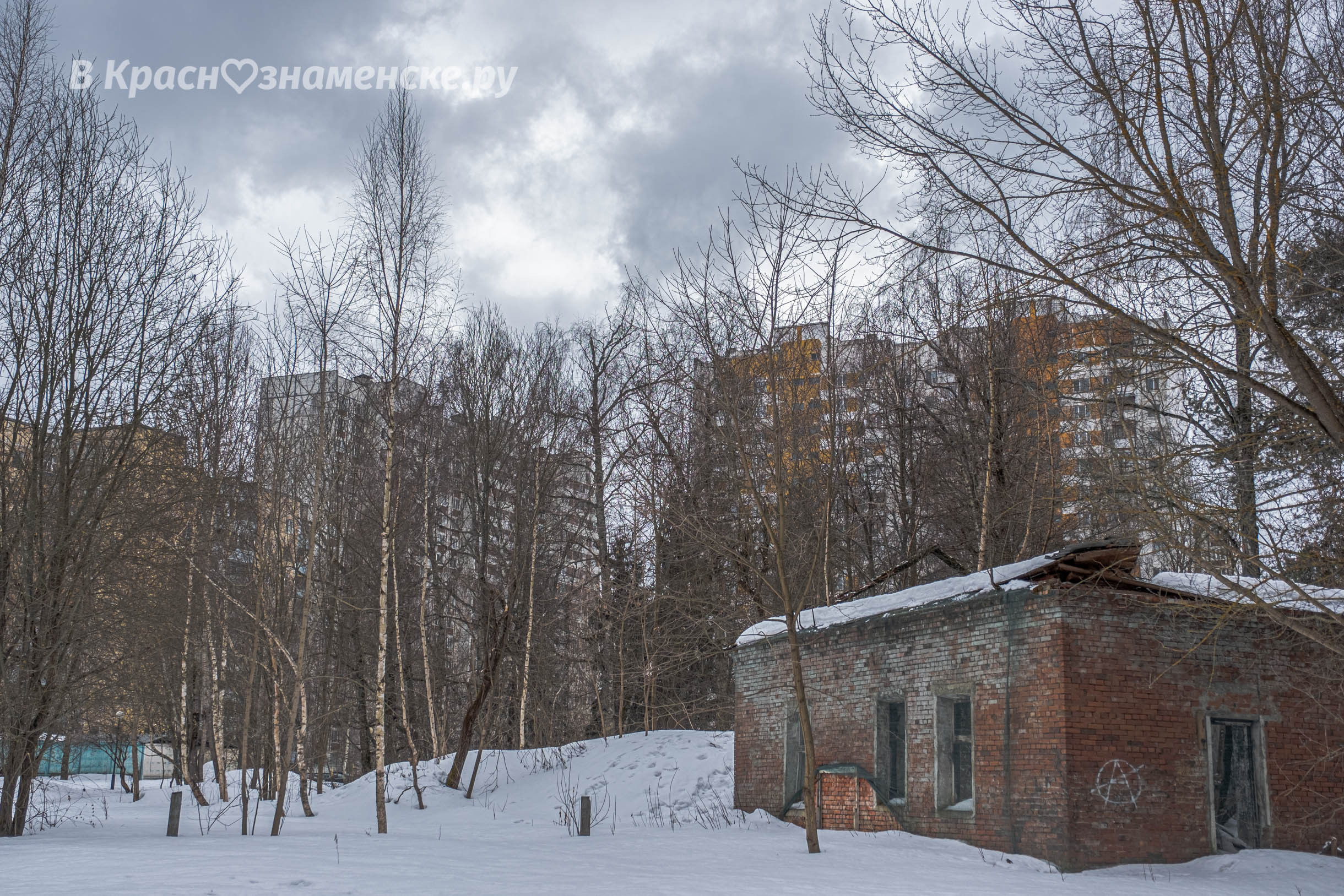 Фото 31472 — Краснознаменск