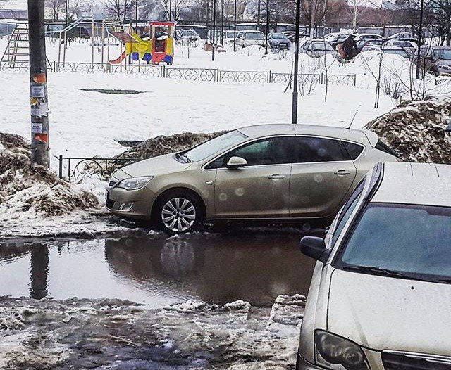 Автор фотографии Дарья Антонова