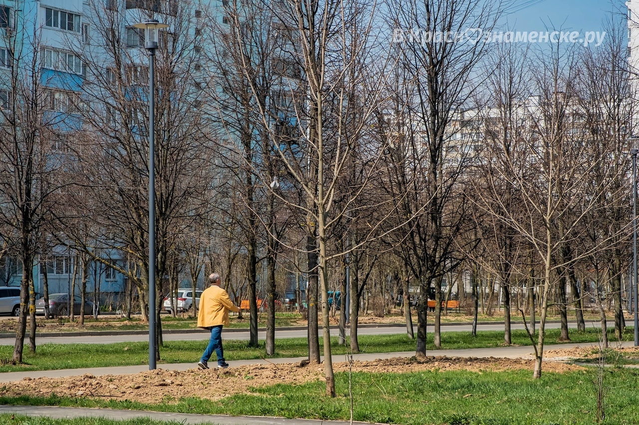 Доброе утро, Краснознаменск! Желаем вам безупречного дня)