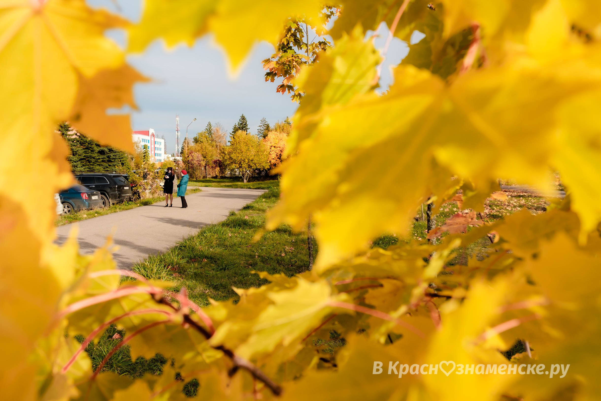 Доброе утро, Краснознаменск! ⛅ Утром, +9°…+12°, Облачно с пр