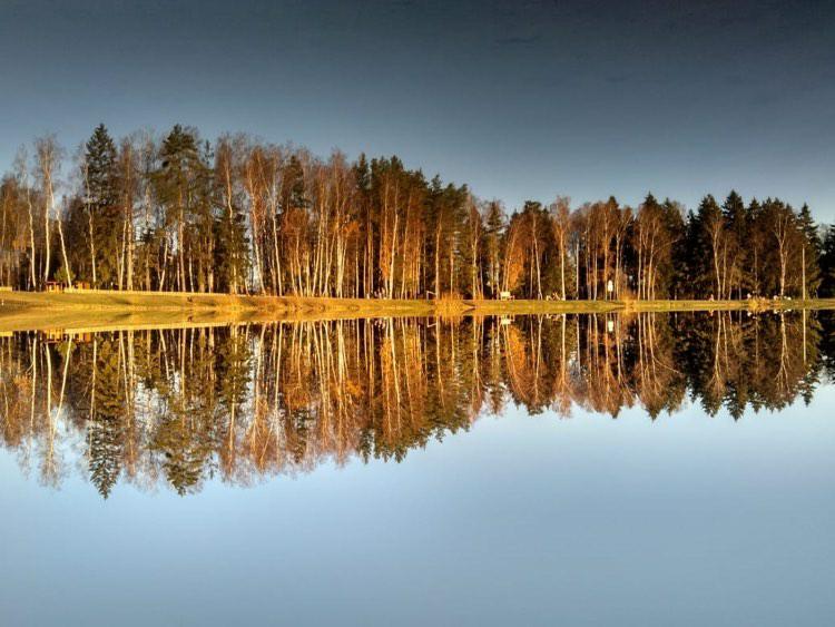 Доброе утро, Краснознаменск! Веселой пятницы вам!  *Краснозн