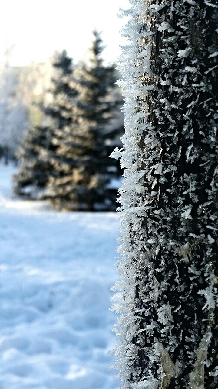 Зимний город