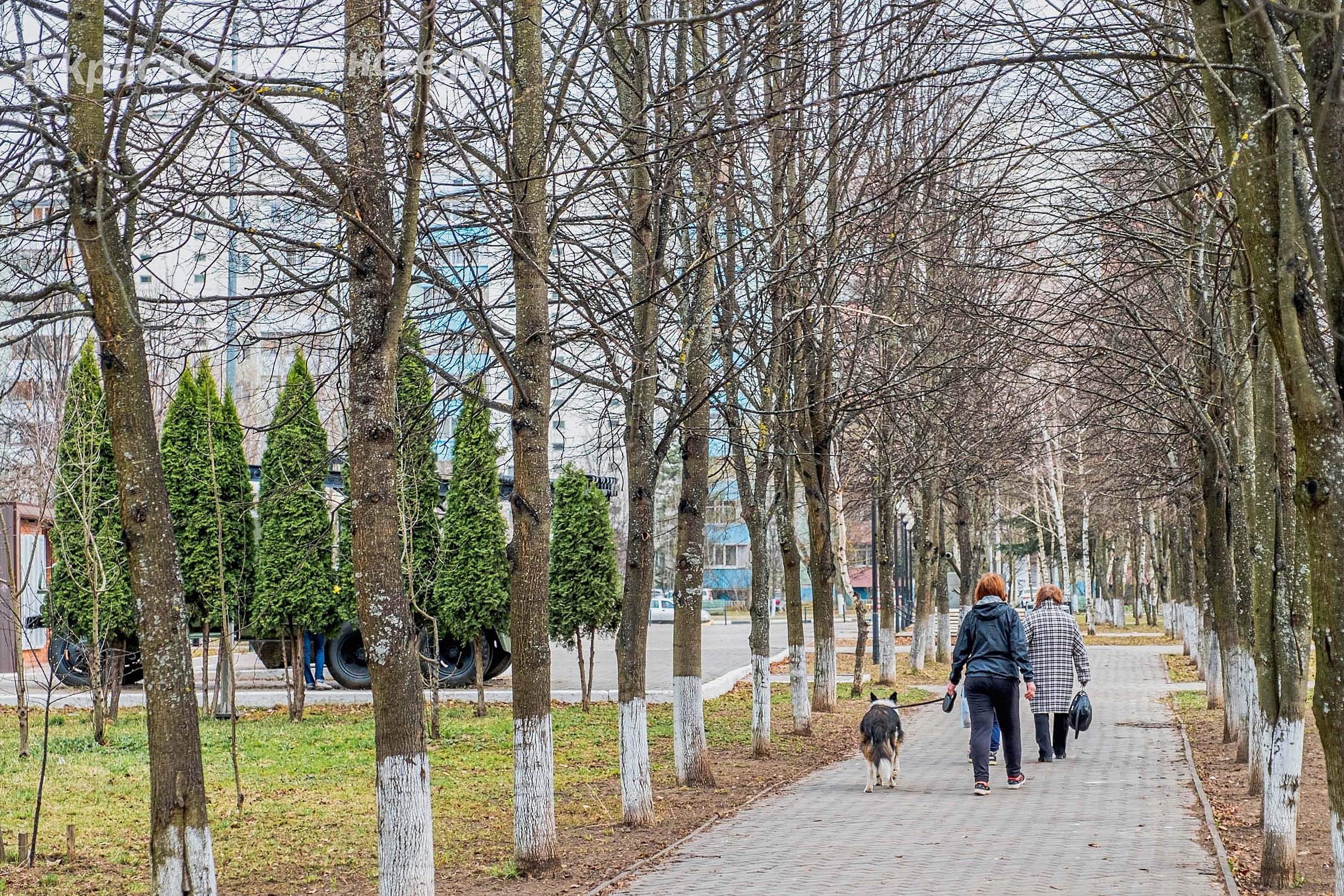 Доброе утро, Краснознаменск! Желаем вам бодрого начала недел