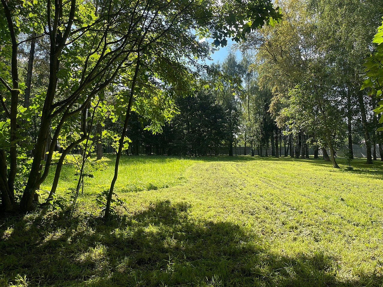 Прогулка по городу — Краснознаменск