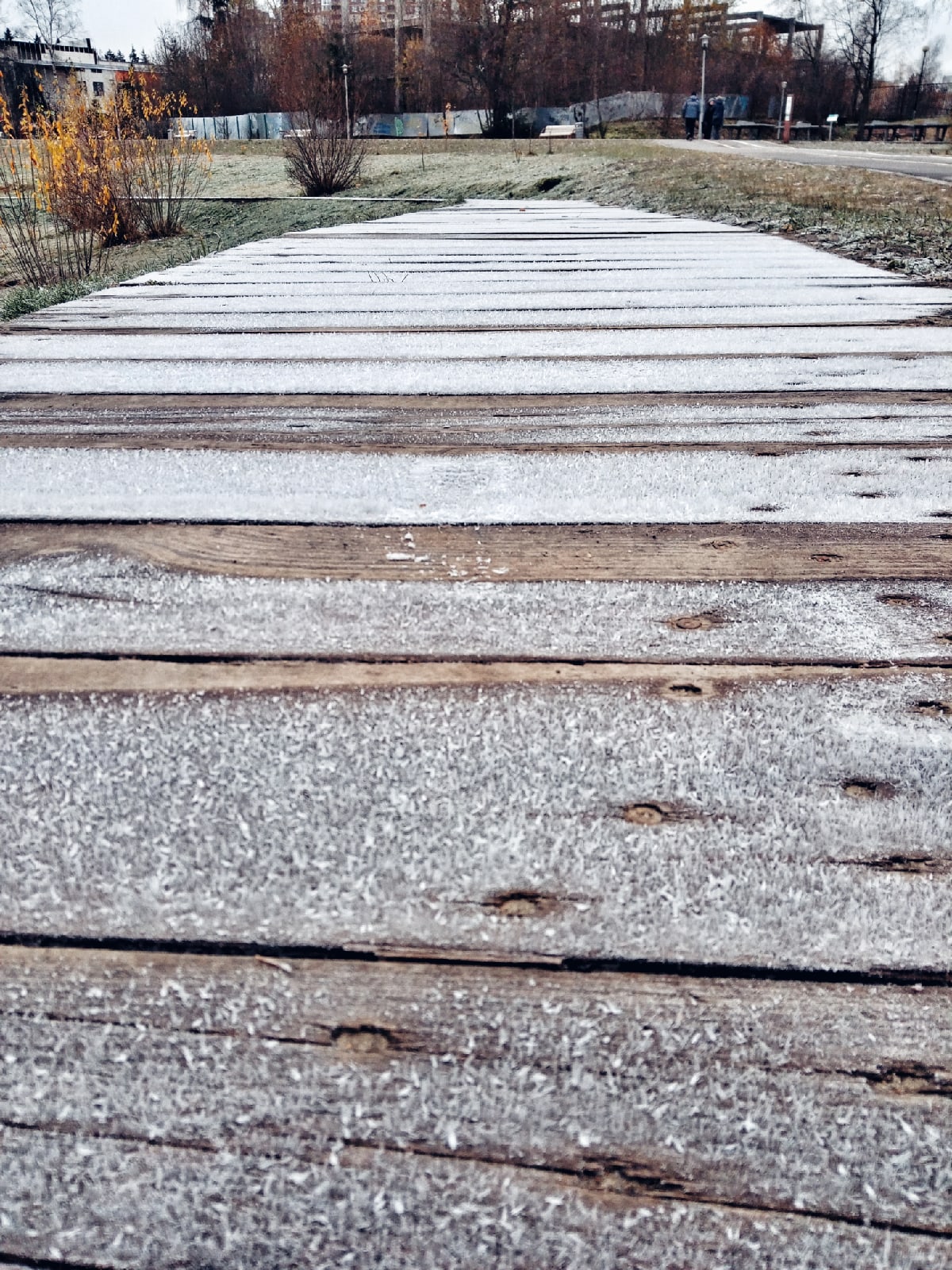 Морозное утро в Краснознаменске.  ???? Наталья Меняйлова