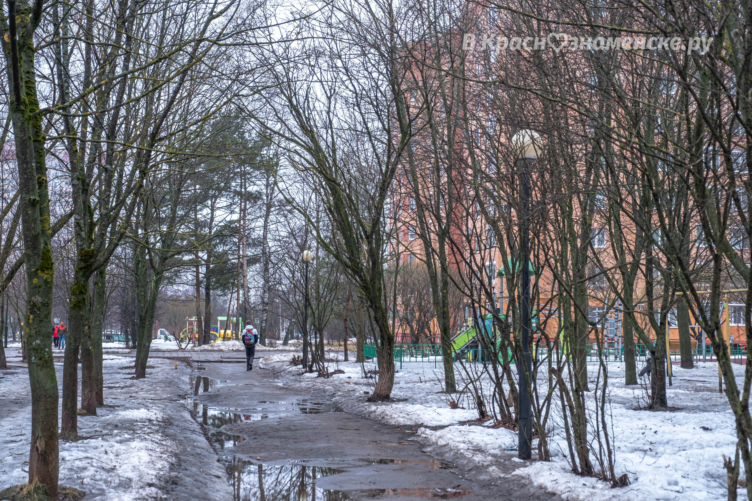 Доброе утро, Краснознаменск! Утром -1°… +6°, Облачно с прояс
