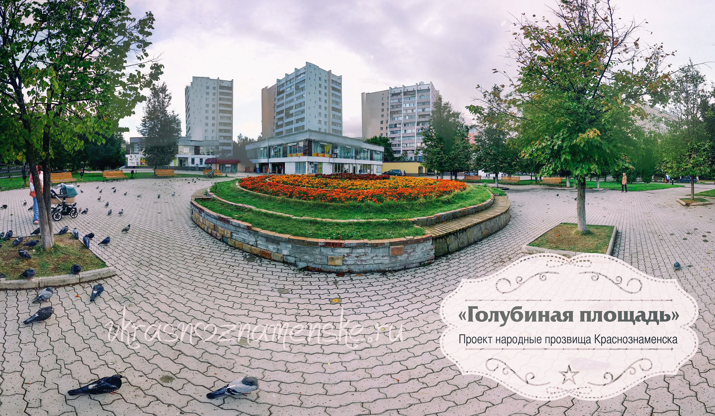 Фото 8547 — Краснознаменск