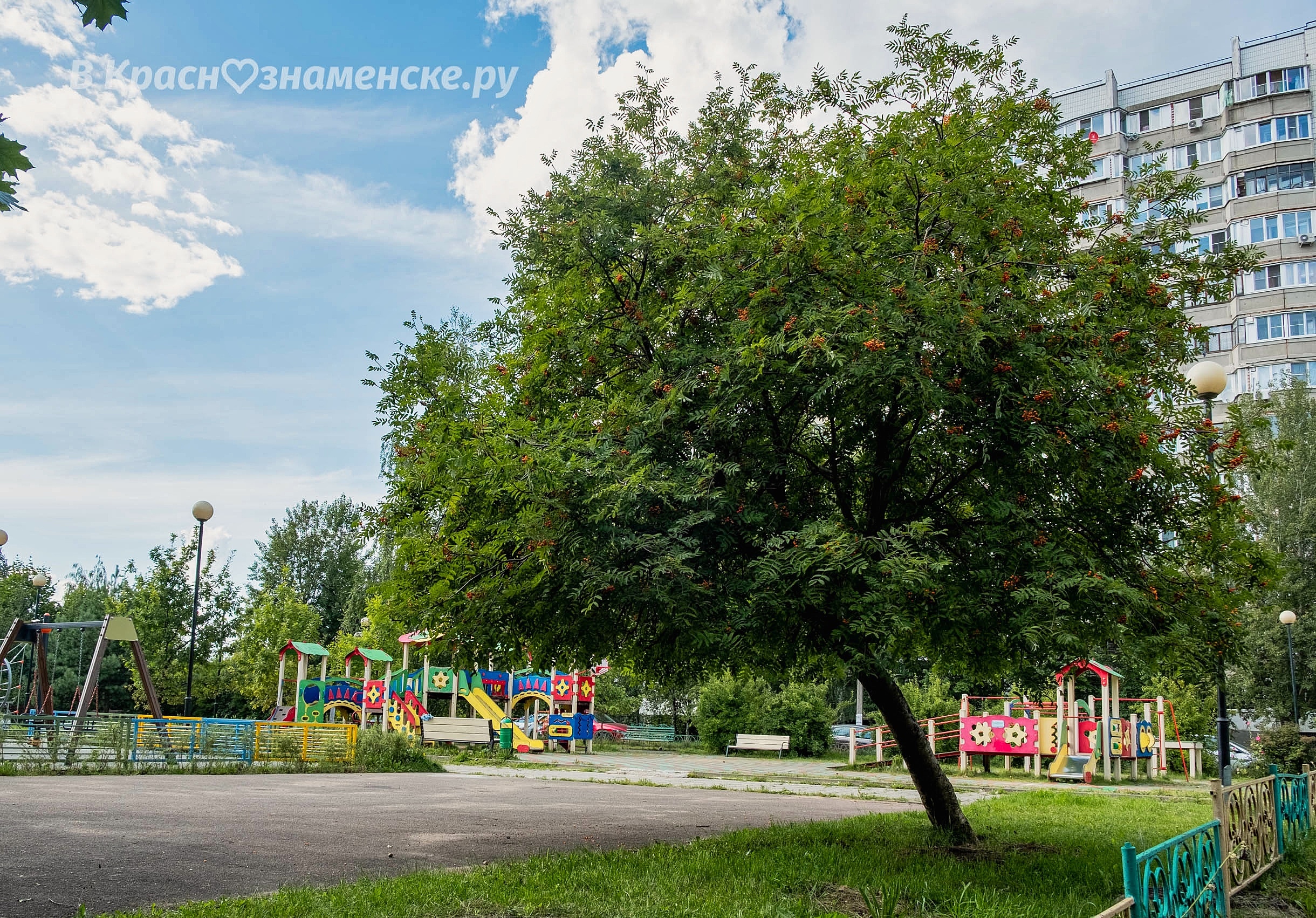 Доброе утро, Краснознаменск! Хорошего вам дня)
