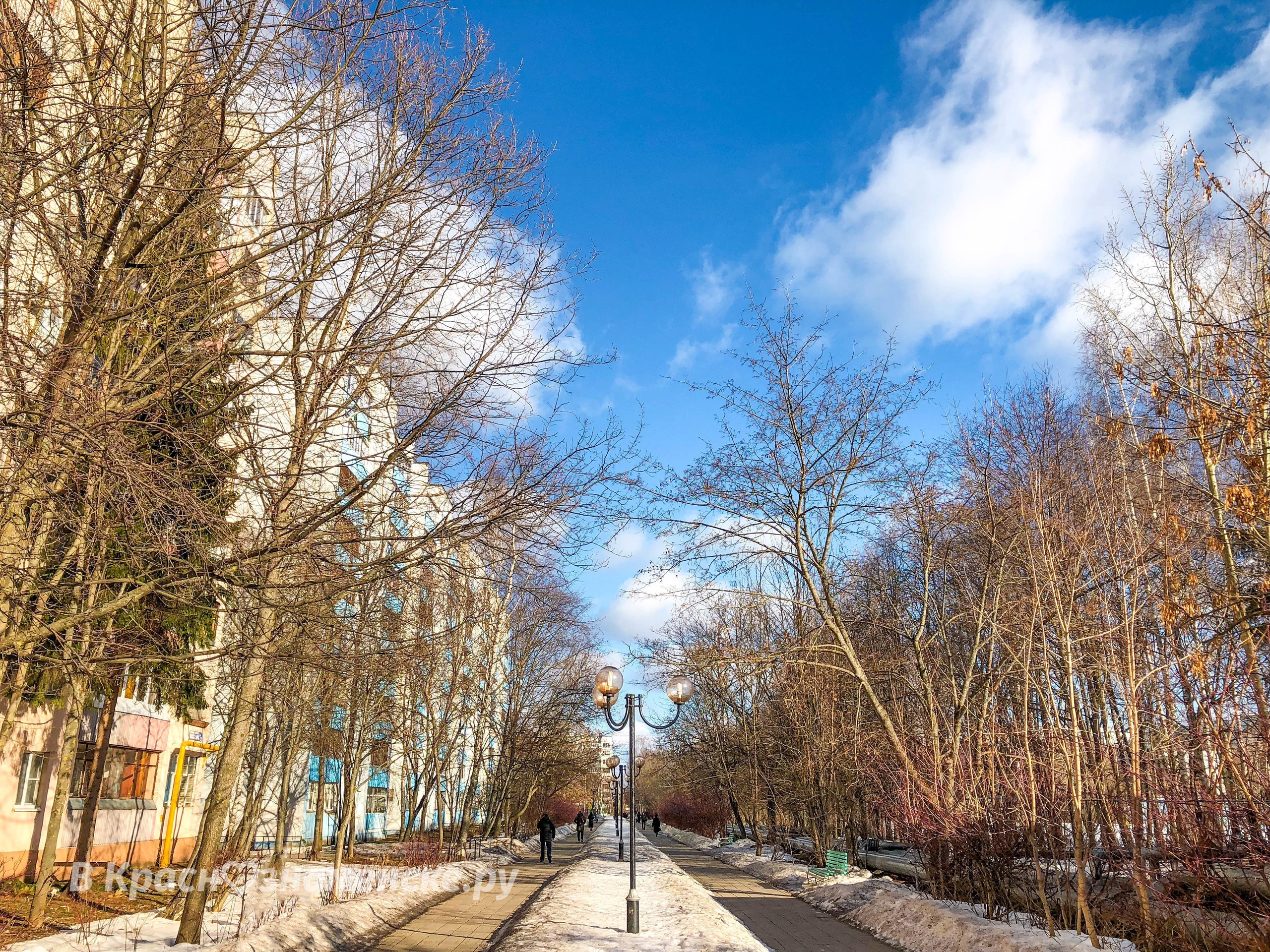 Доброе утро, Краснознаменск! Утром 0°… +3°, Пасмурно, Давлен