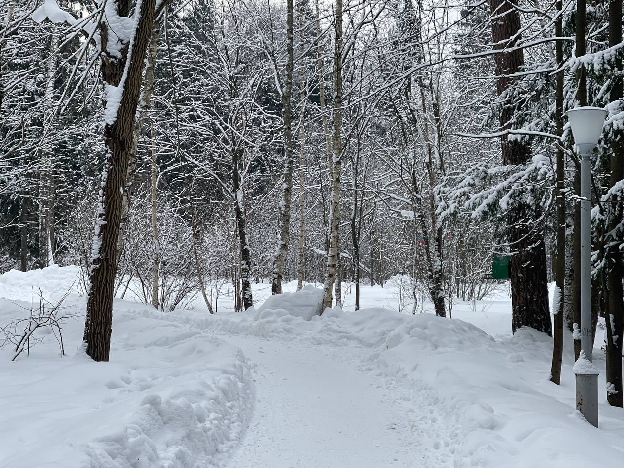 Прогулка по городскому парку — Краснознаменск