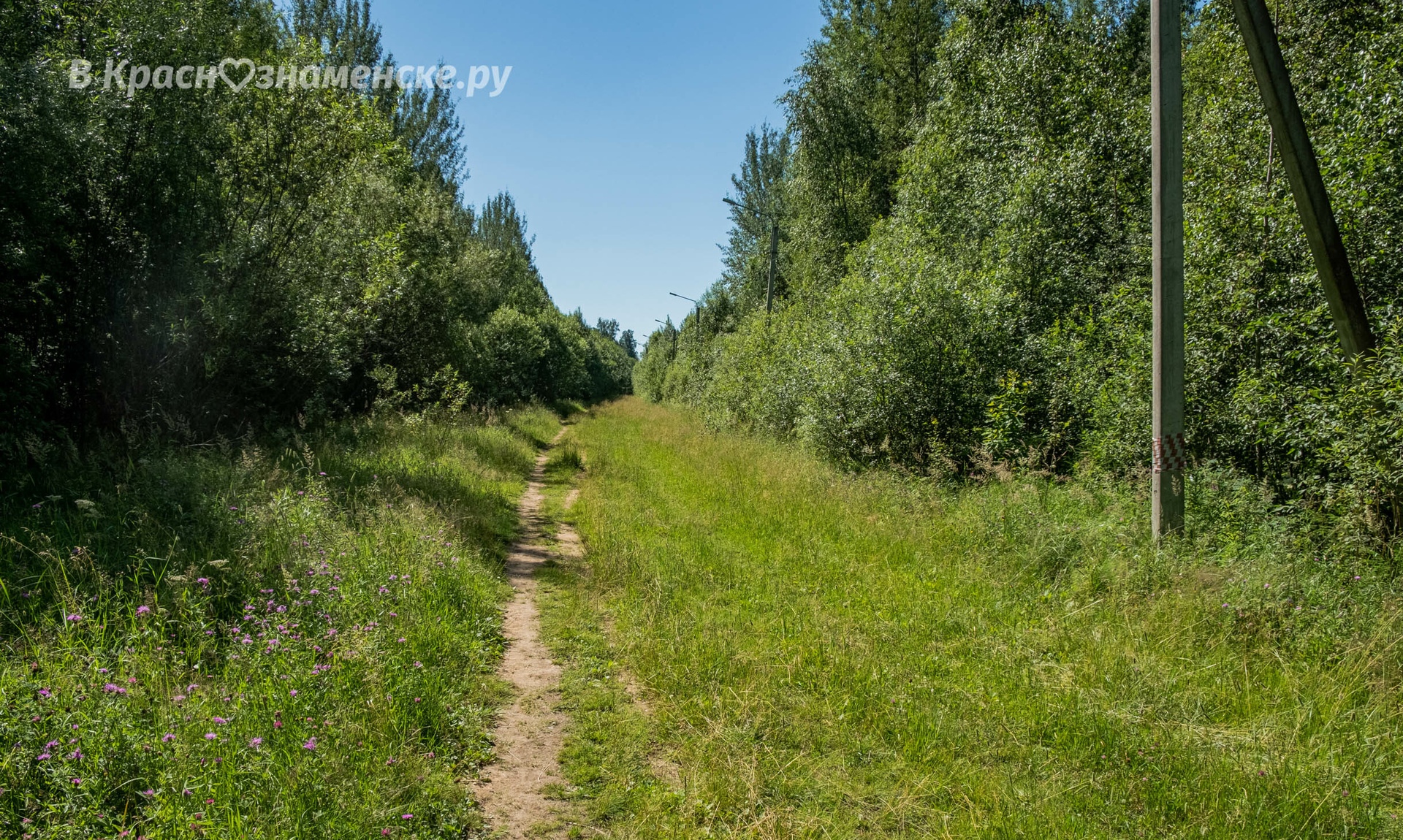Фото 44675 — Краснознаменск