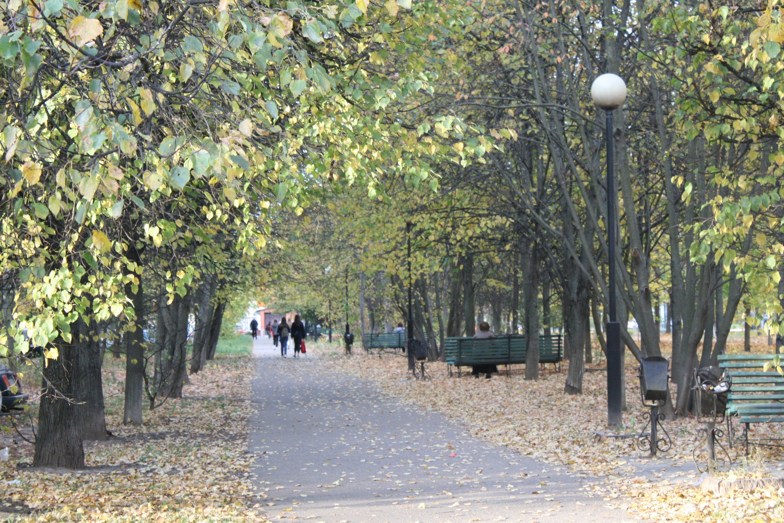 Осенний Краснознаменск. ???? Наталья Меняйлова