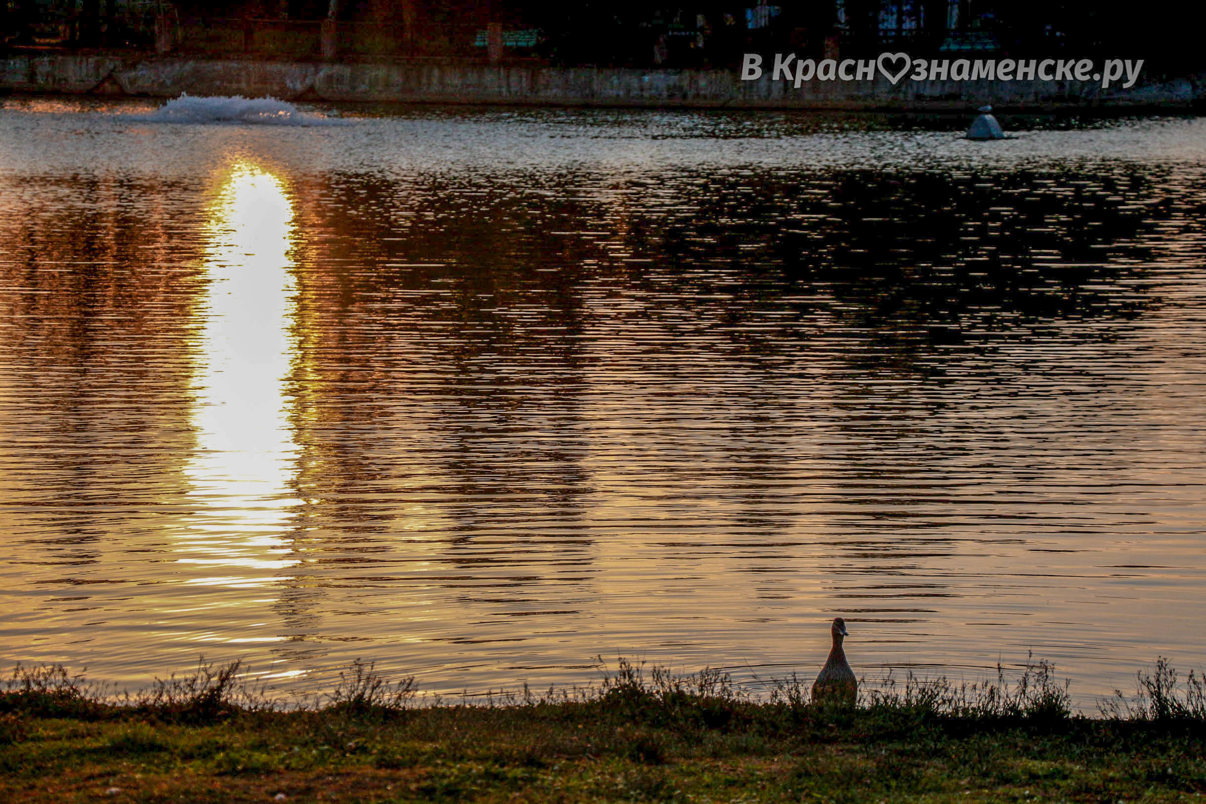 Фото 7258 — Краснознаменск