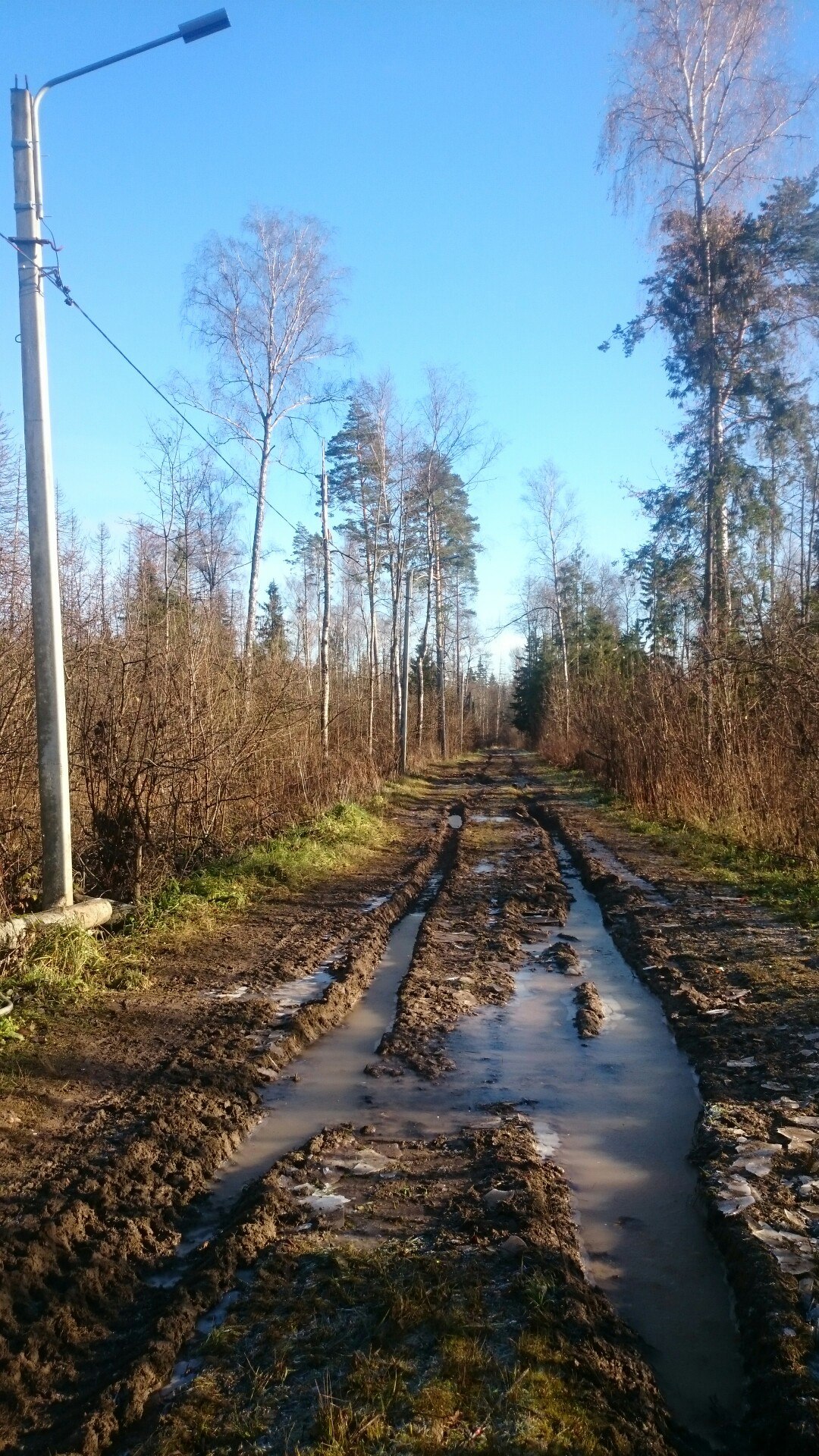Лыжня на Связистах