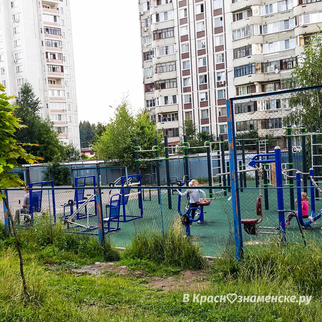 Суровые воркаутеры Краснознаменска, забор ? не не видел.