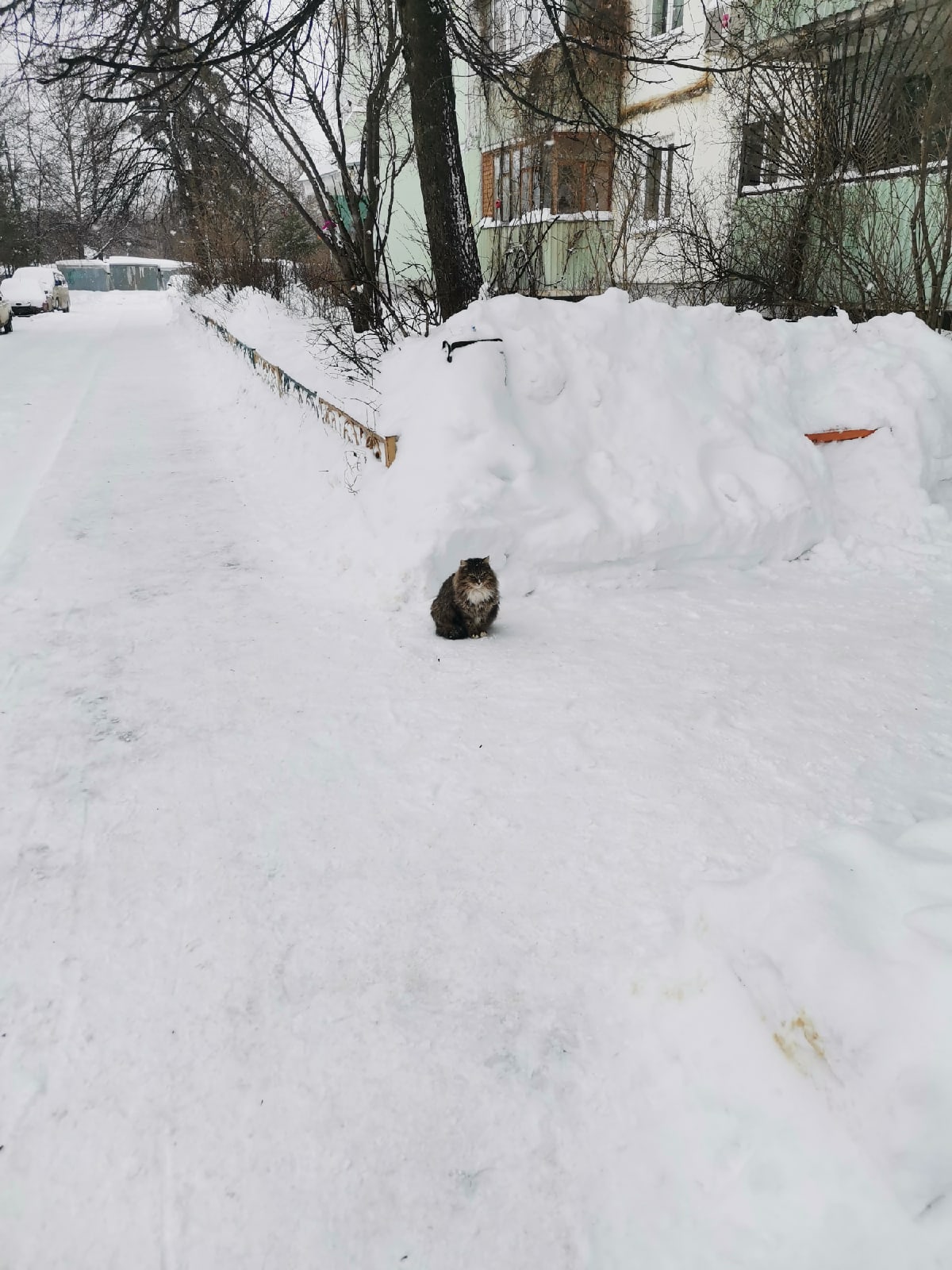 Пока вы на работе... Придумайте название к фото