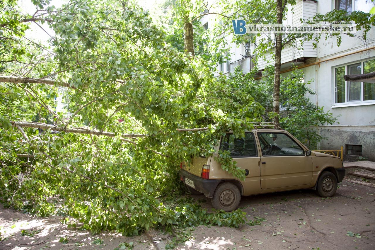 Дерево упало на детскую площадку и автомобили
http://www.vkrasnoznamenske.ru/news/detail/122632/
Во дворе дома 7 на пр-т. Мира на автомобили упало дерево
Пострадавших - нет.
На пострадавший автомобиль не оформлена страховка по КАСКО..