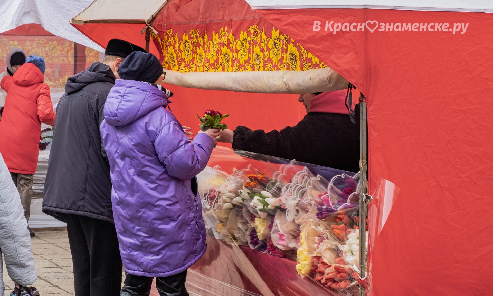 У Центрального рынка заработал цветочный базар.  Тюльпаны та
