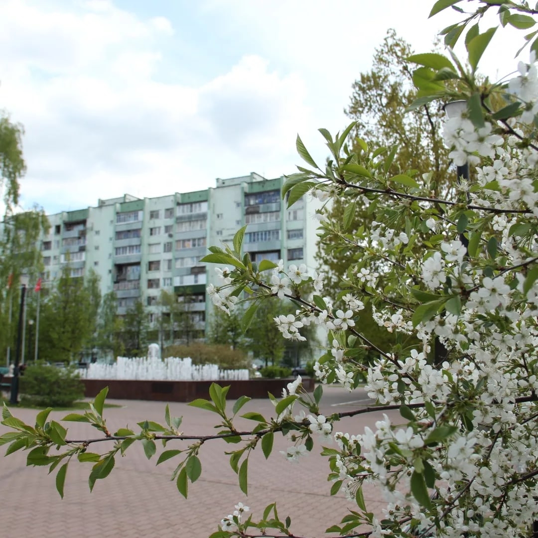 Весна в Краснознаменске.