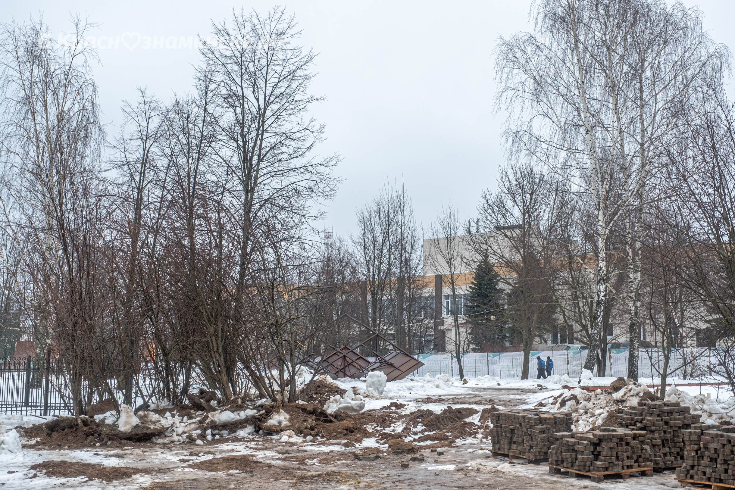Коротко о том, что сейчас происходит на старом озере — Краснознаменск