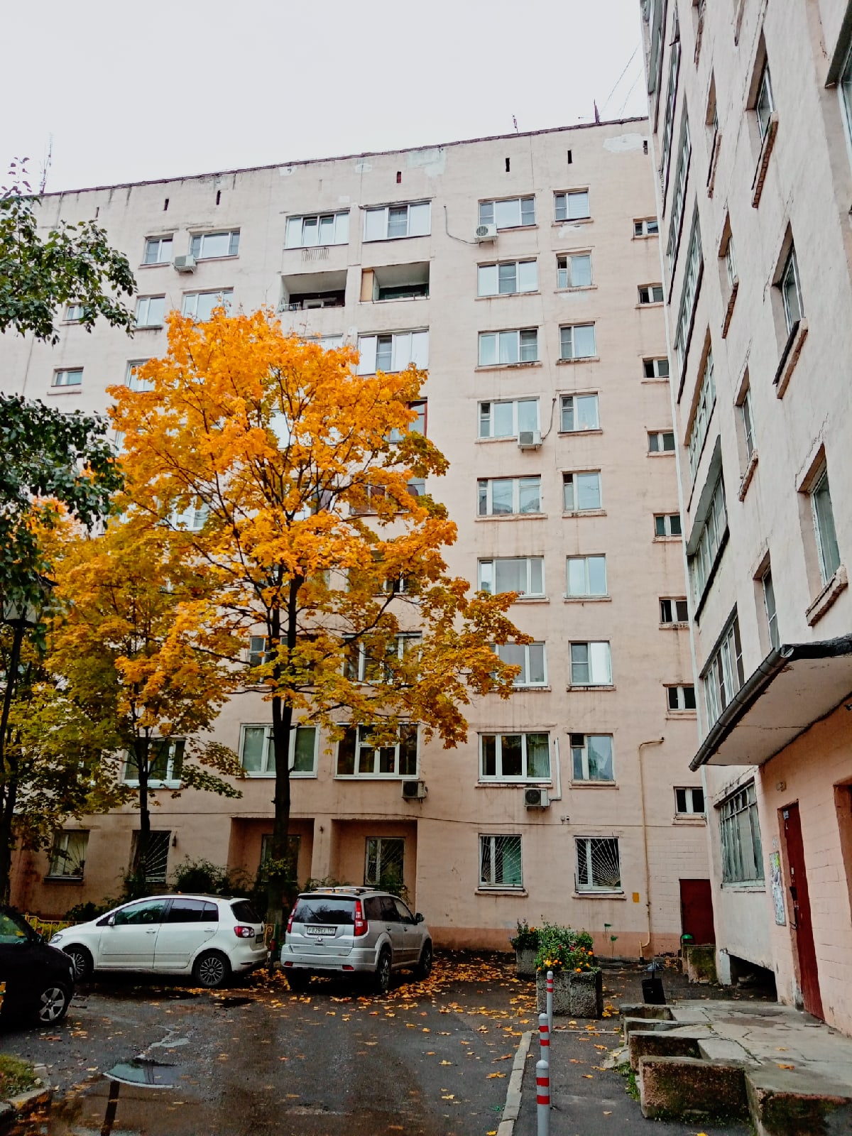 Улица Краснознаменная 21. ???? Наталья Меняйлова — Краснознаменск