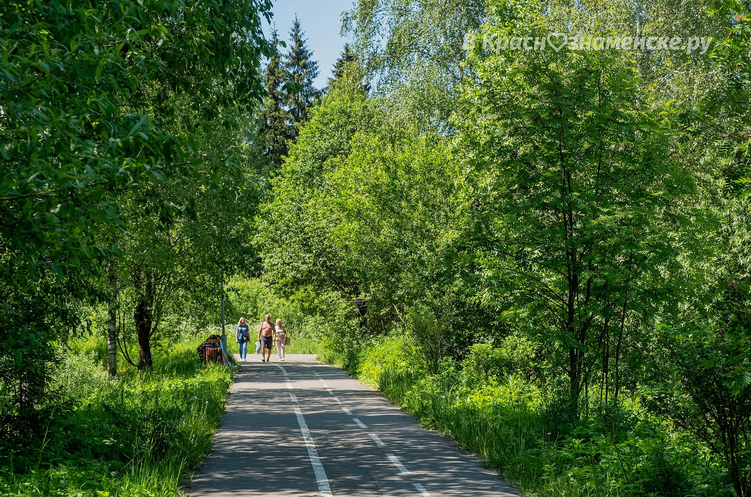 Прогулка по городу — Краснознаменск