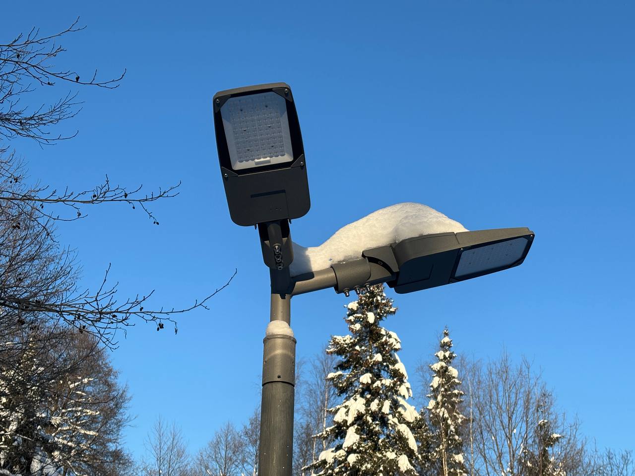 Морозное утро в Городском парке  © Парки Краснознаменска ???? t