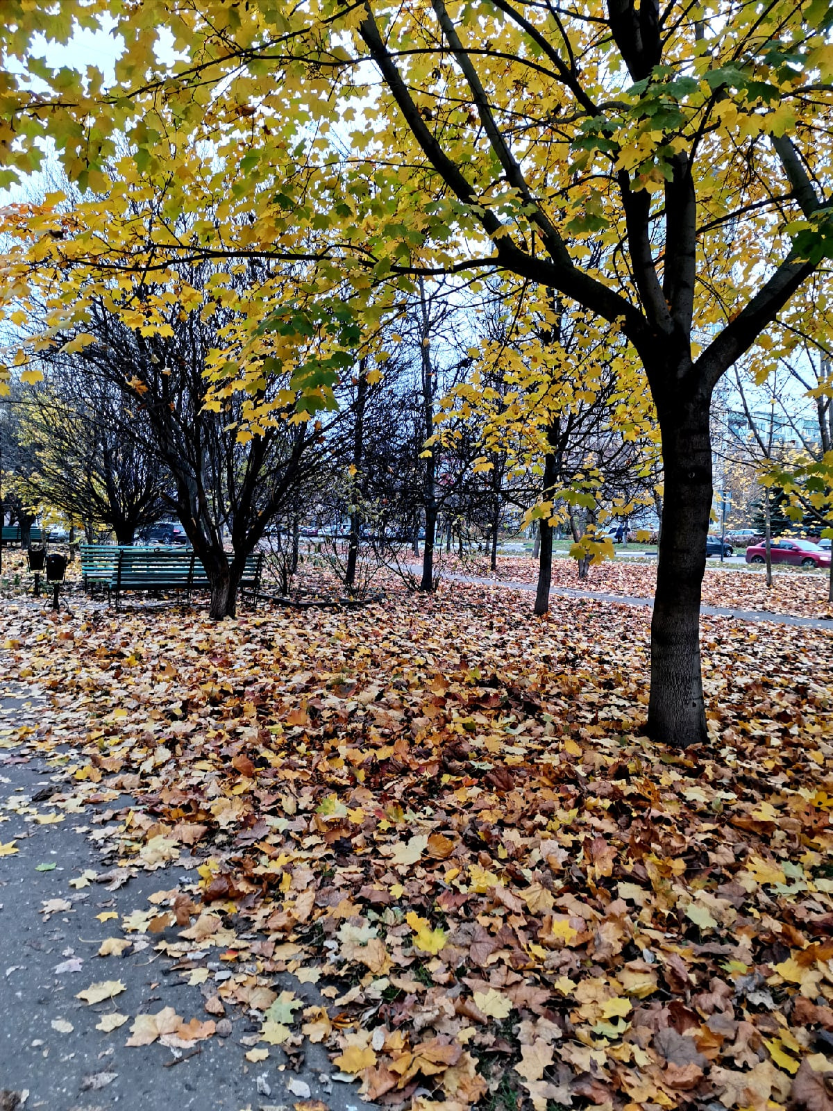 Доброе утро, Краснознаменск! Утром, +3°…+4°, Пасмурно, Давле