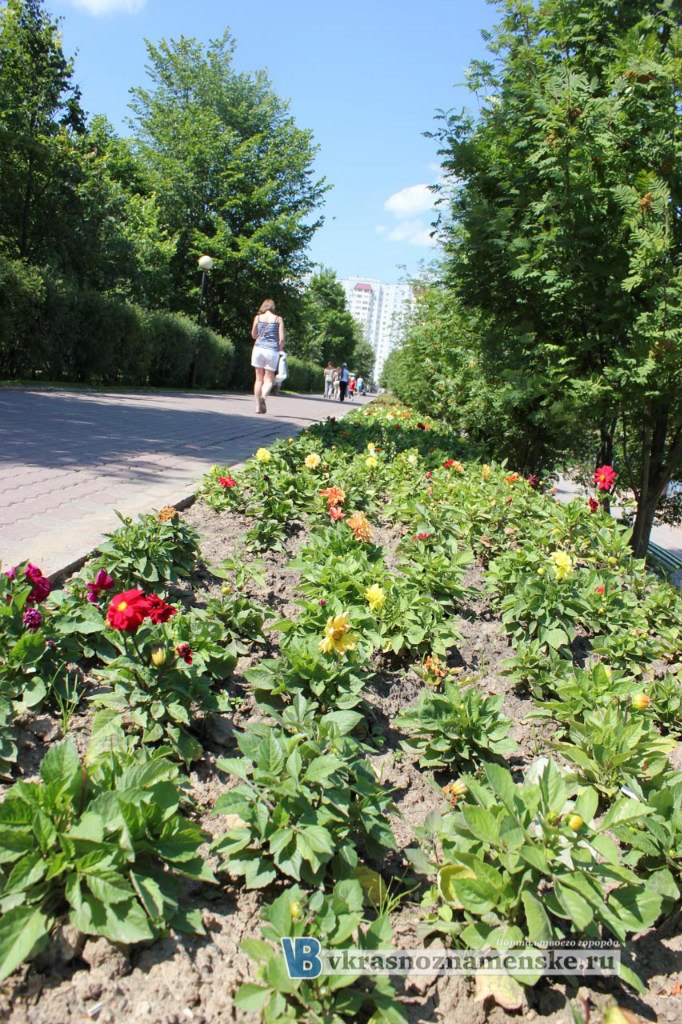 Быстрое меню — Краснознаменск