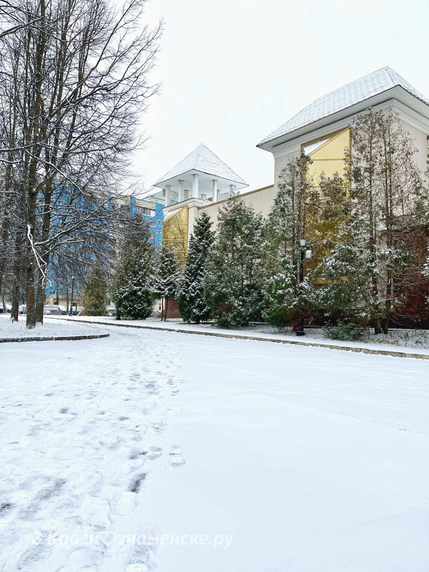 Снежная прогулка ❄️  © в Краснознаменске.ру Мы в telegram: t