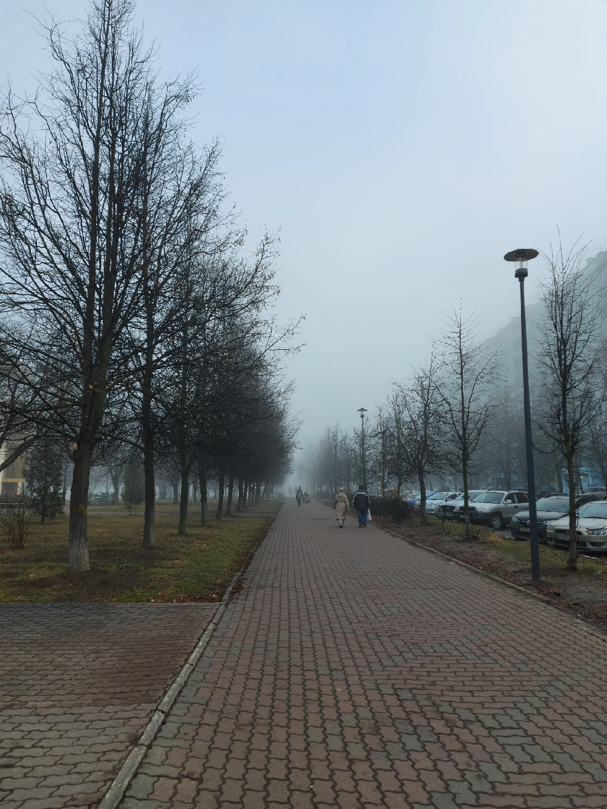 Фото 31269 — Краснознаменск