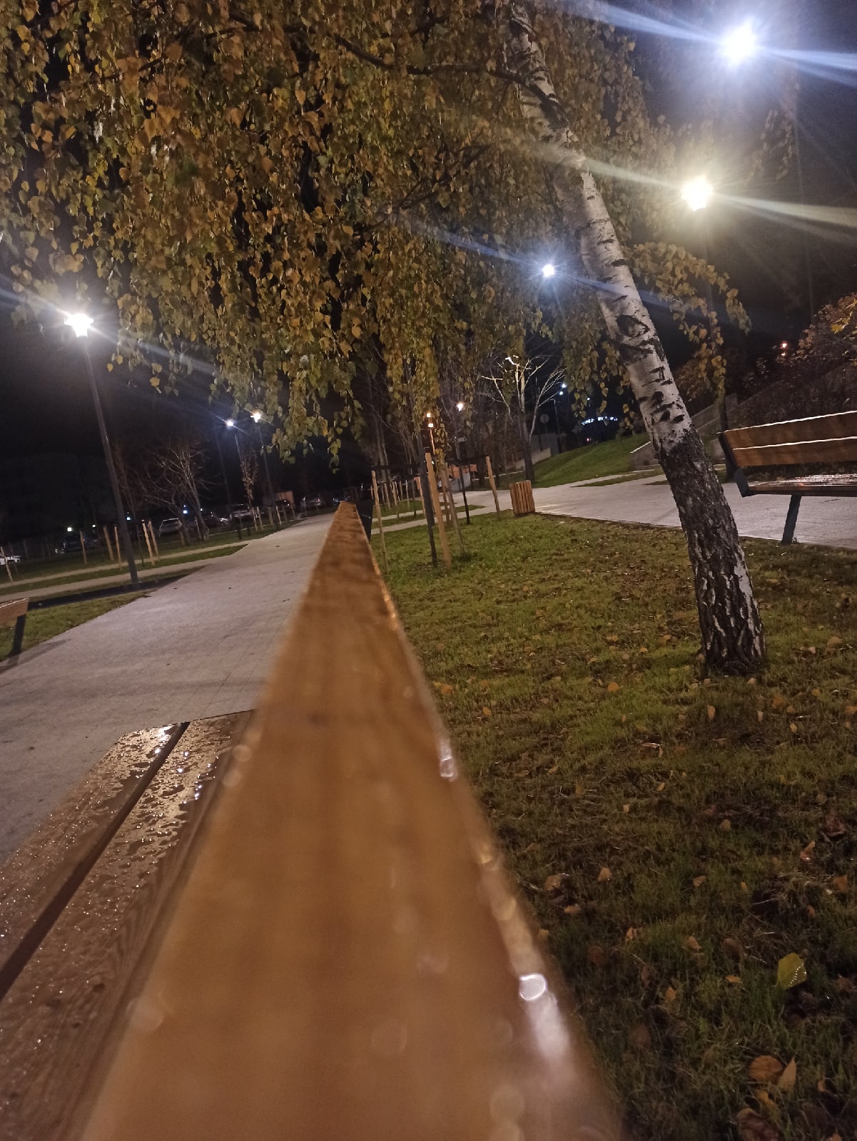 Линии города. ???? Сергей Плужников — Краснознаменск