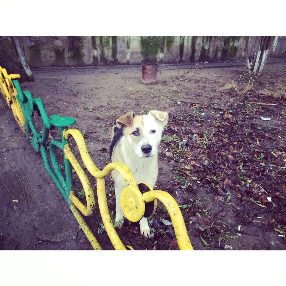 Быстрое меню — Краснознаменск