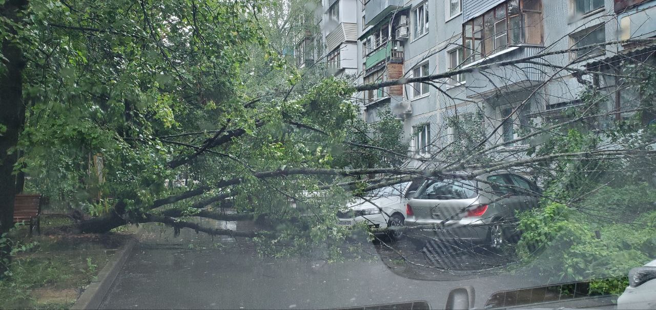 Мира 6, выезд из двора заблокирован