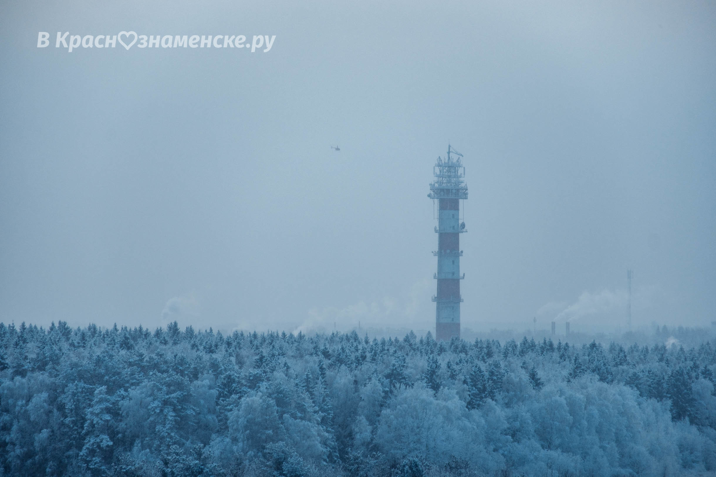VK -27992616_394604