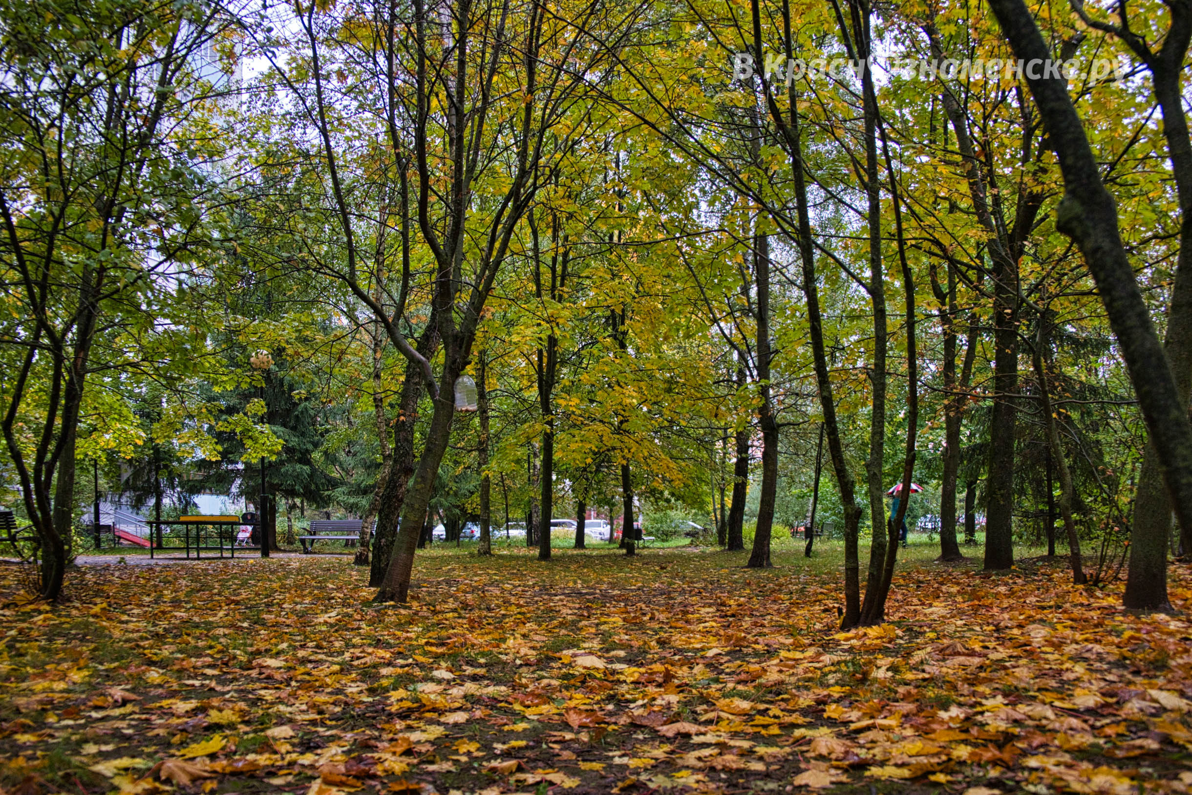 Прогулка по городу ☂ — Краснознаменск